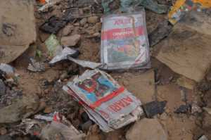 ภาพจากหลุมฝังเกม Atari